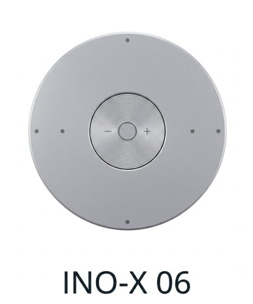 INO-X 06