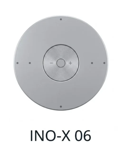 INO-X 06