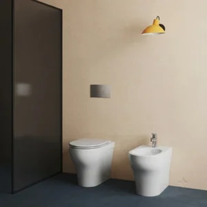 PRACTICA TOILET BOWL