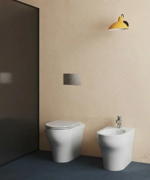 PRACTICA TOILET BOWL